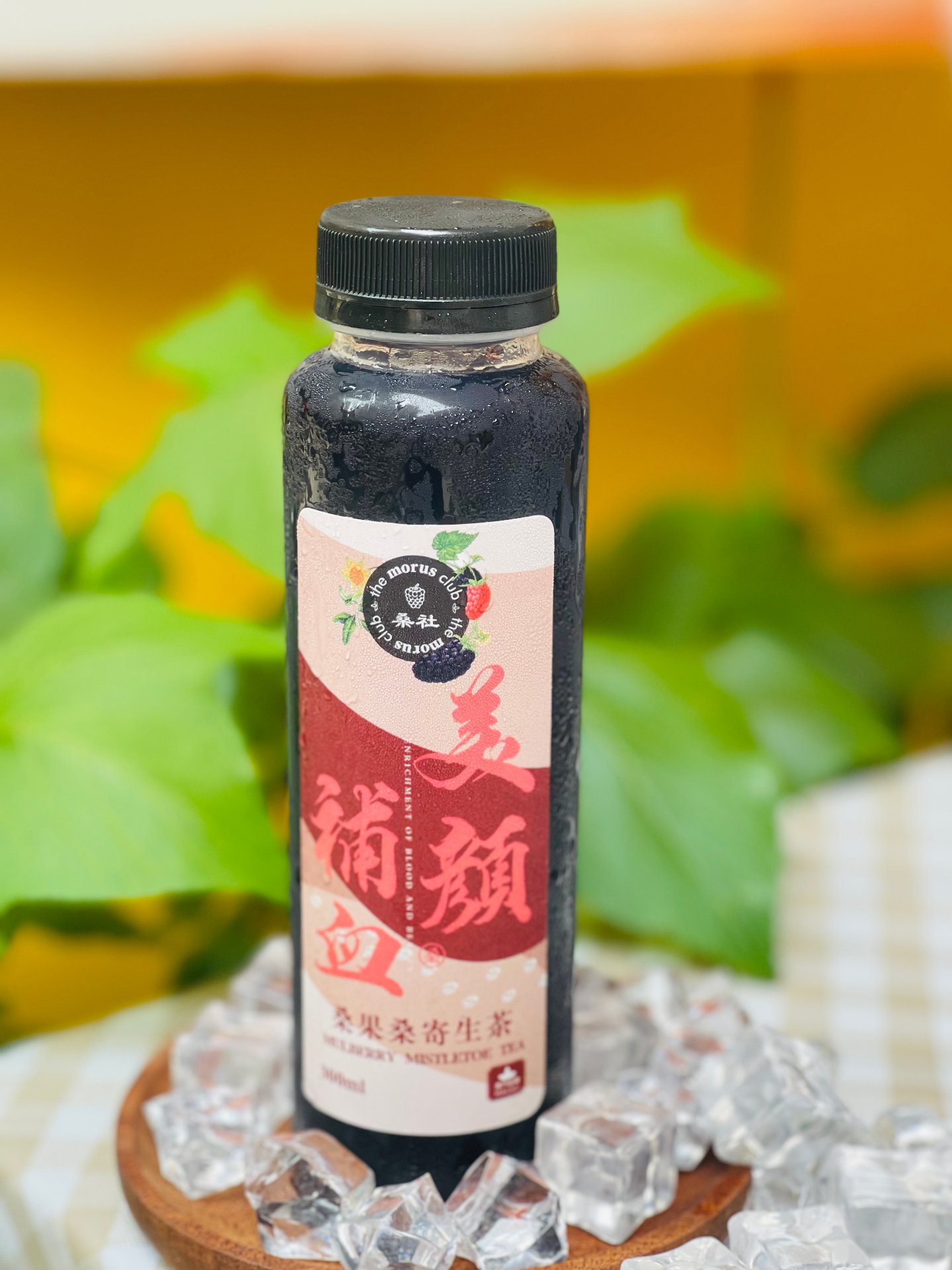 瓶裝桑果桑寄生茶